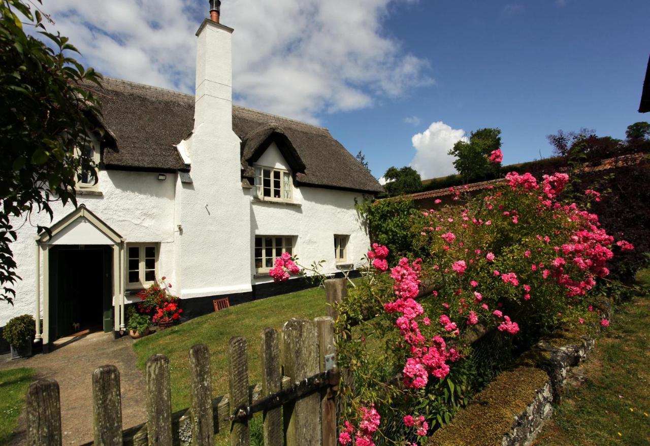 Brook Farmhouse Tedburn Exteriér fotografie